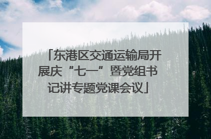 东港区交通运输局开展庆“七一”暨党组书记讲专题党课会议